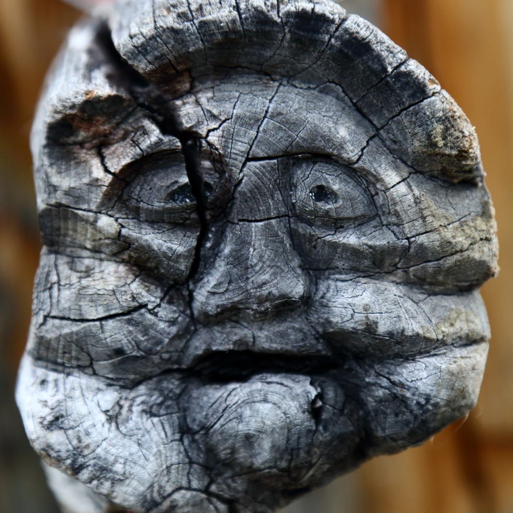 Carving